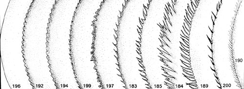 Margins Illustrated